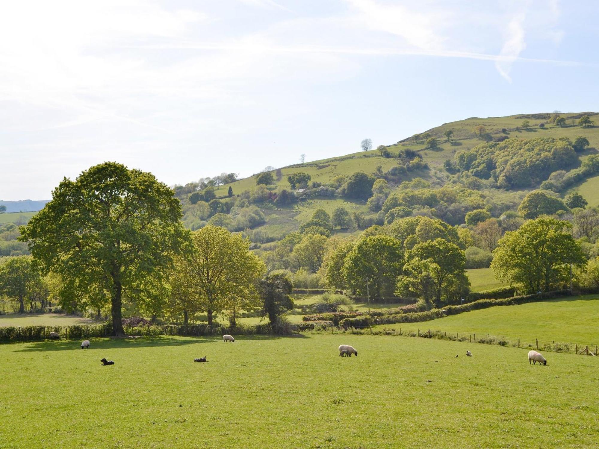 Maes Y Bryn Farmhouse Llanwrda Eksteriør bilde